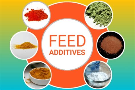 Animal Nutrition & Feed Additives .